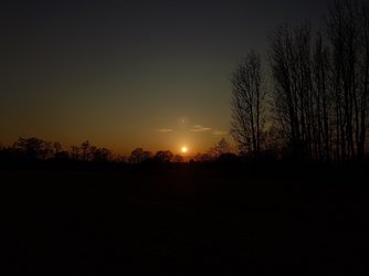 20250323_180351.JPG