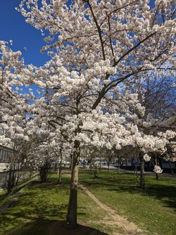 Gcam2 27032025_142730946.jpg