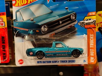IMG_20250329_124056273.jpg