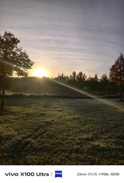 IMG_20241103_082551.jpg