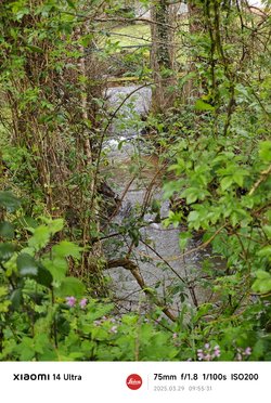 IMG_20250329_095531.jpg