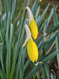 IMG_20250329_173420.jpg