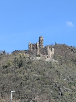 PXL_20250329_132632871.jpg