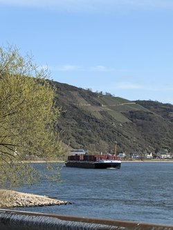PXL_20250329_132546460.jpg