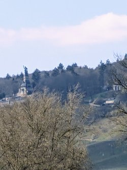PXL_20250329_124027317.jpg