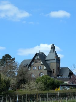 PXL_20250329_123753477.jpg