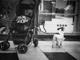 IMG_20250329_190756836_HDR (3).jpg