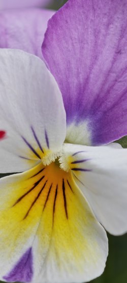 IMG_20240603_172827.jpg