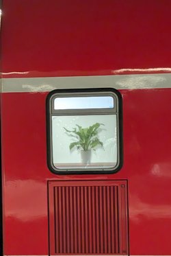 PXL_20241110_161722915.jpg