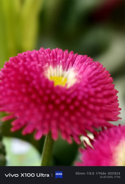 IMG_20250326_170003.jpg