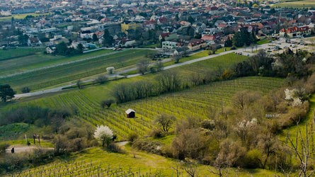 20 MP Gain Map HDR crop.jpg