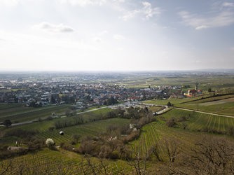 IMG_20250326_091717-Verbessert-RR.jpg