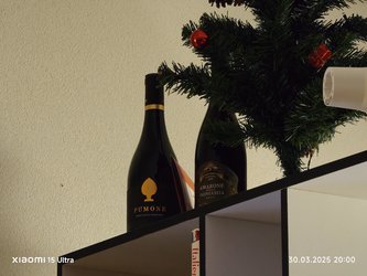 IMG_20250330_200053.jpg