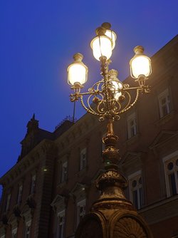 20250327_053142767.JPG
