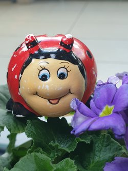 20250331_103047.jpg