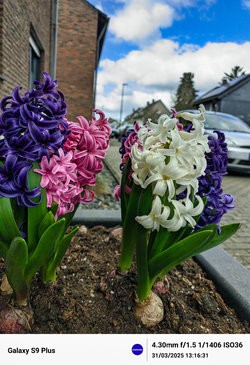 Gcam20250331_131627094.jpg
