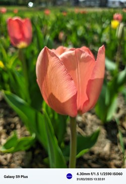 Gcam20250331_133157738.jpg
