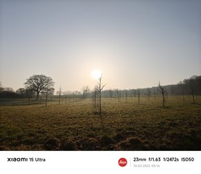 IMG_20250310_081639.jpg