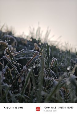 IMG_20250310_080648.jpg