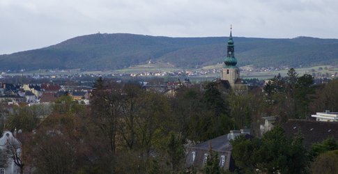 A 75mm Raw 12MP crop.jpg