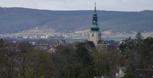 D 120mm Raw 12MP crop.jpg