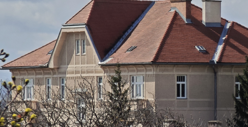 Mittel Kontrast Max Textur crop.png