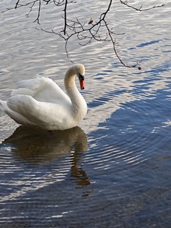 IMG_20250331_171746.jpg