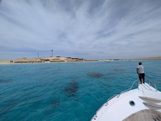 PXL_20250331_084308763.jpg