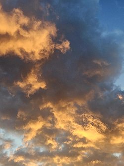 20250331_194353.jpg