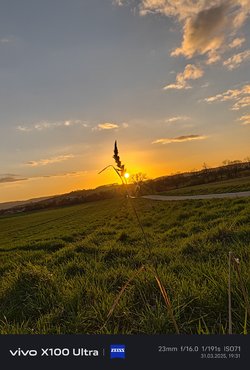 IMG_20250331_193142.jpg
