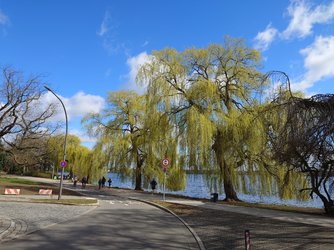 20250331_121744.JPG