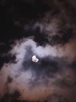 20250329_120350.jpg