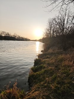 IMG_20250329_175342.jpg