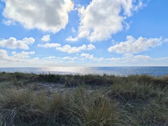 IMG_20210518_173452.jpg