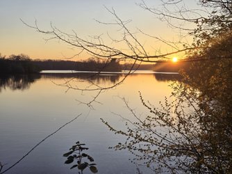 20250401_072214.jpg