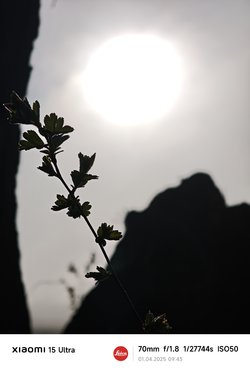 IMG_20250401_094349.jpg
