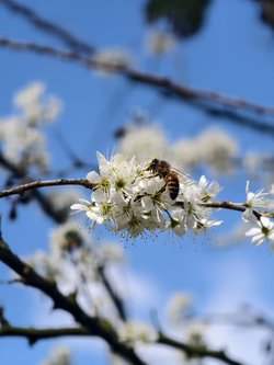 IMG_20250401_124026.jpg