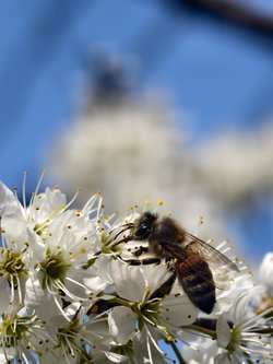 IMG_20250401_124030.jpg