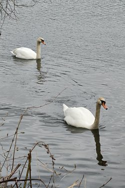 IMG_20250401_132125.jpg