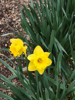 IMG_20250401_165633347.jpg