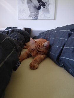 20250401_105605.JPG