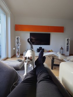 20250331_170105.JPG