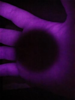 20250401_190903.jpg