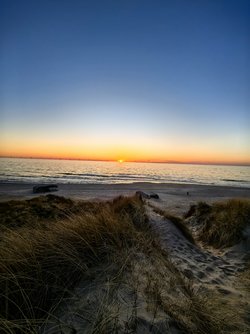 IMG_20250319_183902.jpg