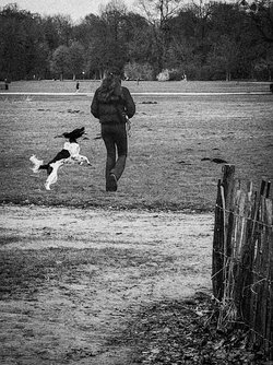 IMG_20250401_163720996 (6).jpg