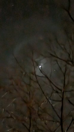 PXL_20250324_200358390.NIGHT.jpg