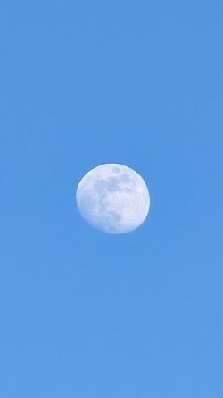 PXL_20250311_163435904.jpg