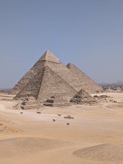 PXL_20250402_091150610.jpg