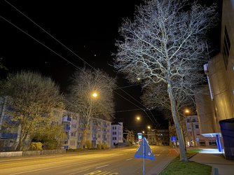 IMG_0421.JPG