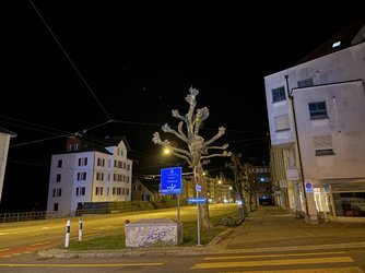 IMG_0423 1.JPG